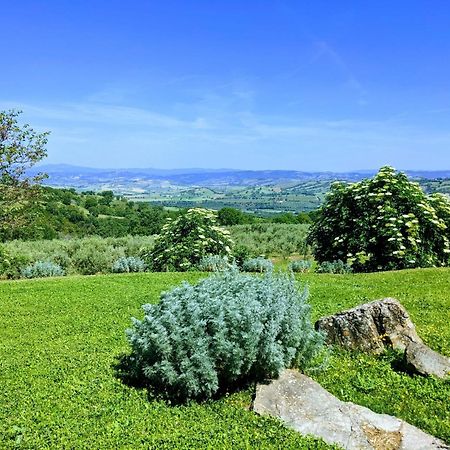 Agriturismo Podere Prataccio Grosseto Bagian luar foto