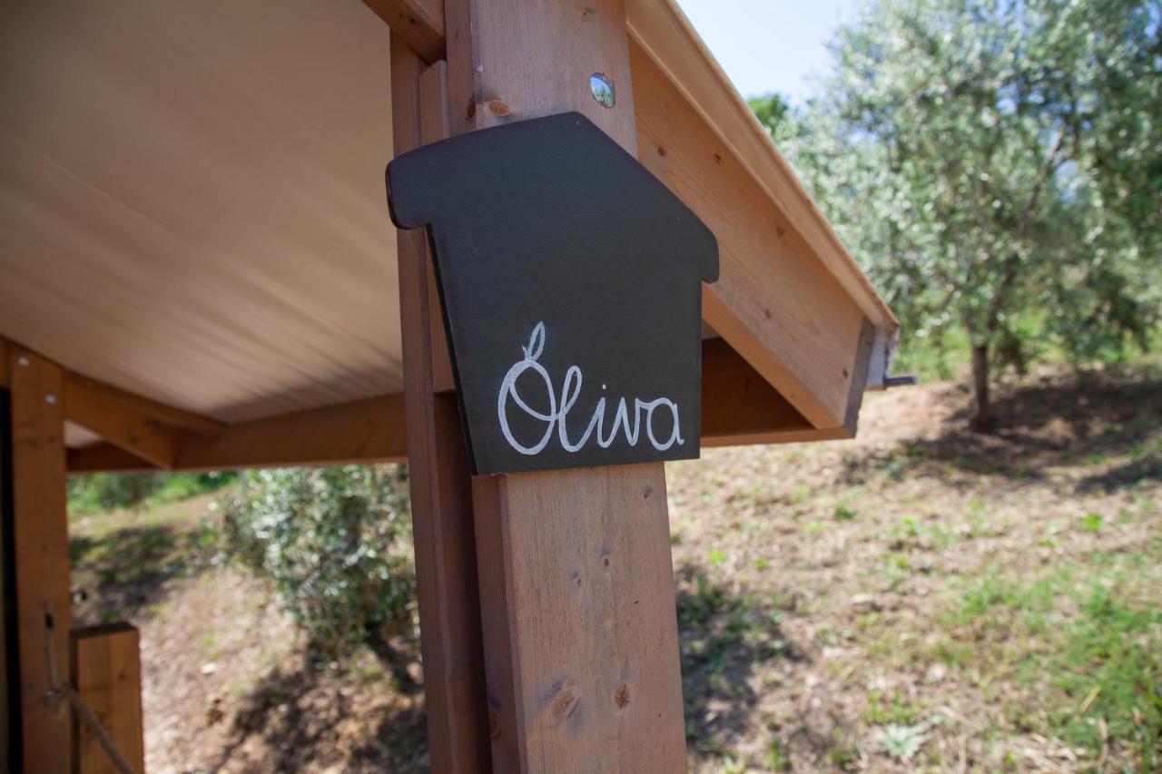 Agriturismo Podere Prataccio Grosseto Bagian luar foto